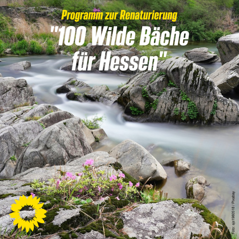 Programm „100 Wilde Bäche für Hessen“