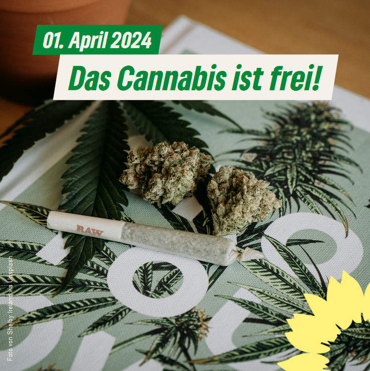 01. April 2024: Das Cannabis ist frei!