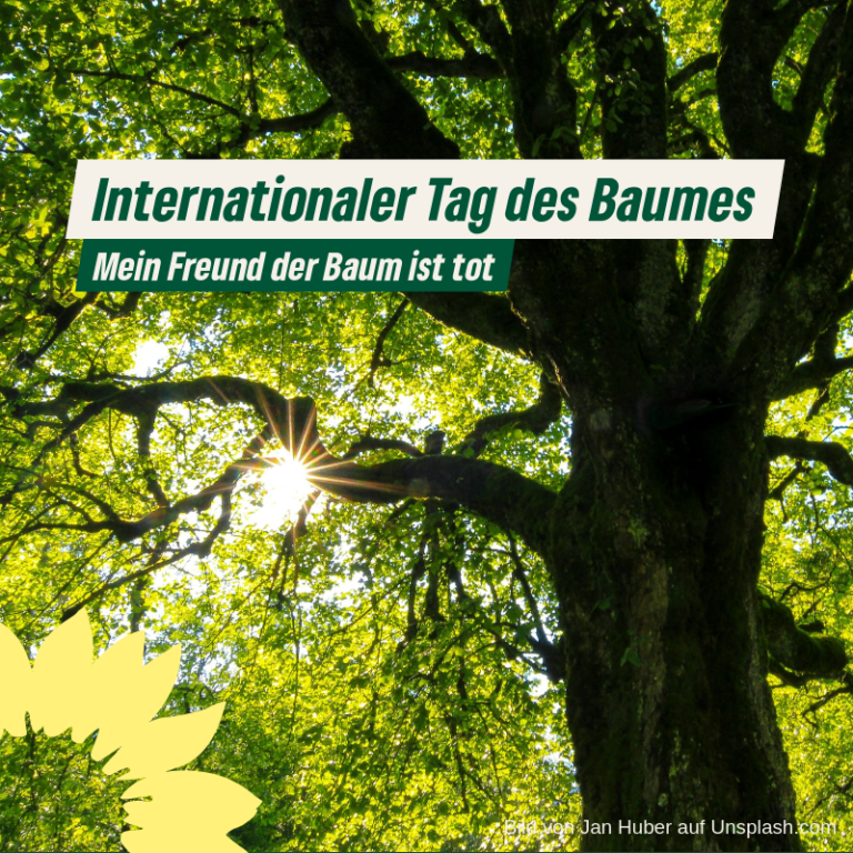 Internationaler Tag des Baumes